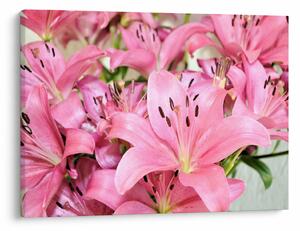 Tablou - Liliac roz (70x50 cm)