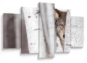 Tablou - Lup (150x105 cm)