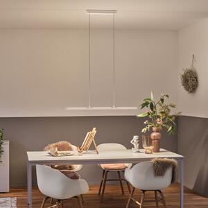 Paulmann Lento LED suspendat ZigBee CCT dim alb, reglabil, Alb, Camera de zi / sufragerie, Metal, Modern
