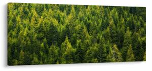 Tablou - Pădure deasă (120x50 cm)