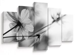 Tablou - Flori alb-negru (150x105 cm)