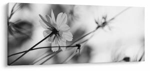 Tablou - Flori alb-negru (120x50 cm)