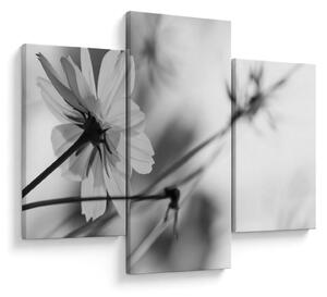 Tablou - Flori alb-negru (90x60 cm)