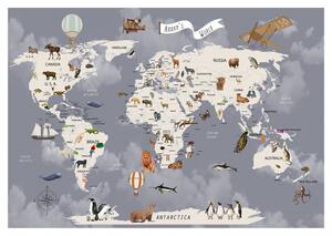 Covor antiderapant, 80 x 150 cm, Harta Lumii