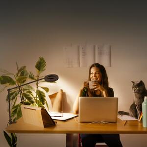 LEDVANCE SMART+ SUN@Home Panan Desk Disc, clemă, negru, reglabil, Negru, Studiu / Birou, Metal, Modern