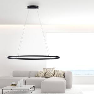 Paul Neuhaus Lampă suspendată LED Titus, 118x56cm, CCT, dimabil, reglabil, Negru, Camera de zi / sufragerie, Metal, Modern