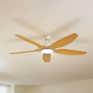 Lucande Ventilator de tavan cu LED Omendo, alb, DC, silențios, CCT, reglabil, Alb, Camera de zi / sufragerie, Metal, Modern