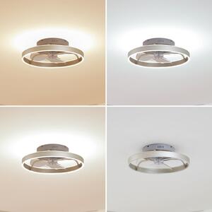 Lindby Ventilator de tavan cu LED Momitu, argintiu, silențios, Ø 50 cm, reglabil, Metalic, Camera de zi / sufragerie, Aluminiu, Modern