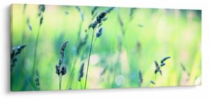 Tablou - Detaliu pajiște (120x50 cm)