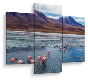 Tablou - Flamingo (90x60 cm)