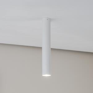 Euluna Thalassa Downlight 1 bec alb înălțime 40cm, reglabil, Alb, Camera de zi / sufragerie, Metal, Modern