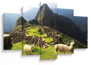 Tablou - Lame in Machu Picchu (150x105 cm)