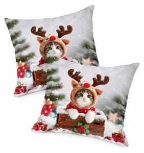 Set 2 bucati husa de perna 3D RUDOLPH KITTEN 45x45 cm