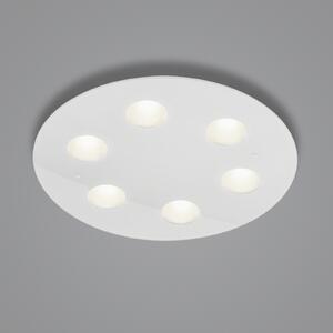 Helestra Nomi plafonieră LED Ø49cm dim alb, reglabil, Alb, Camera de zi / sufragerie, Metal, Modern, Plafon cu flacără multiplă