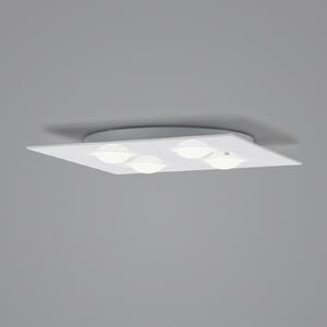 Helestra Nomi plafonieră LED 38x38 cm dim alb, reglabil, Alb, Camera de zi / sufragerie, Metal, Modern, Plafon cu flacără multiplă