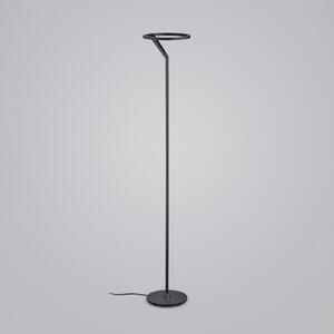 Helestra Elara lampadar LED down dimabilă negru, reglabil, Negru, Camera de zi / sufragerie, Aluminiu, Modern