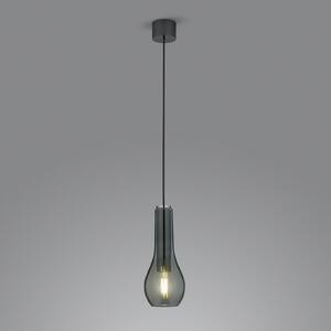 Helestra Gara lampă suspendată abajur sticlă fumurie, 1 bec, reglabil, Negru, Camera de zi / sufragerie, Aluminiu, Modern
