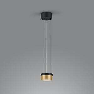 Helestra Oda lampă suspendată LED negru/auriu, reglabil, Negru, Camera de zi / sufragerie, Aluminiu, Modern