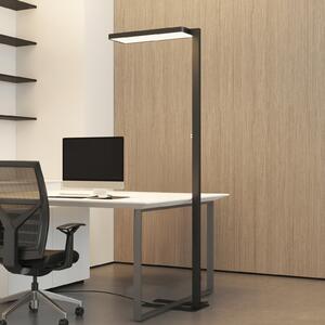 Arcchio Lampadar LED Timon, 54W, negru, înălțime 195 cm, reglabil, Negru, Studiu / Birou, Aluminiu, Modern, Umbrelă în picioare
