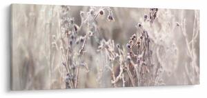 Tablou - Plante (120x50 cm)