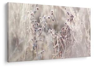 Tablou - Plante (90x60 cm)