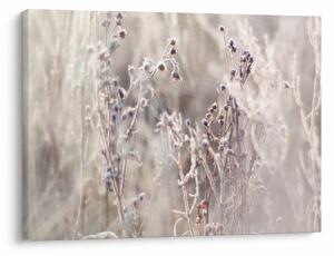 Tablou - Plante (70x50 cm)
