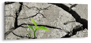 Tablou - Fisuri (120x50 cm)