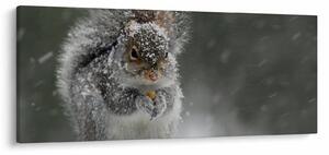 Tablou - Veveriță iarna (120x50 cm)