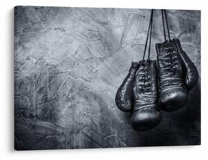 Tablou - Mănuși de box (70x50 cm)