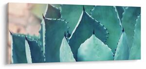 Tablou - Suculent (120x50 cm)