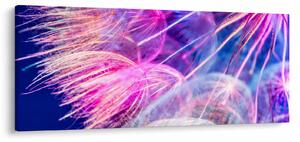Tablou - Macro (120x50 cm)