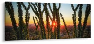 Tablou - Plante (120x50 cm)