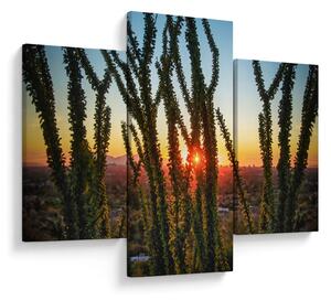 Tablou - Plante (90x60 cm)