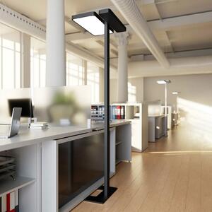 Arcchio LED lampă de podea pentru birou Aila, negru, senzor lumină, reglabil, Negru, Studiu / Birou, Aluminiu, Modern