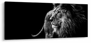 Tablou - Leu (120x50 cm)