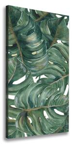 Tablou canvas Monstera