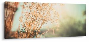 Tablou - Plante de luncă (120x50 cm)