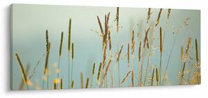 Tablou - Luncă (120x50 cm)