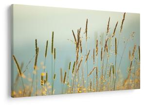 Tablou - Luncă (90x60 cm)