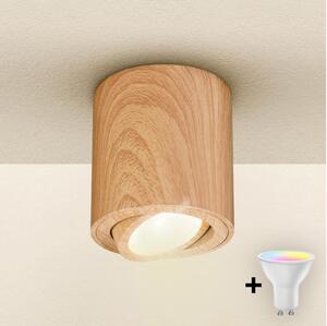 Brilagi - Spot LED RGBW dimmabil MIA 1xGU10/4,8W/230V 84x80 mm, maro