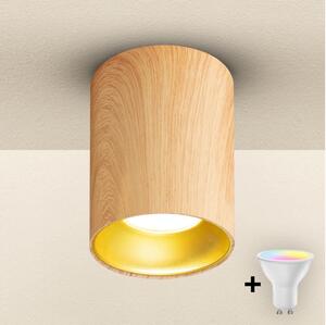 Brilagi - Spot LED RGBW dimabil TRINE 1xGU10/4,8W/230V decor stejar