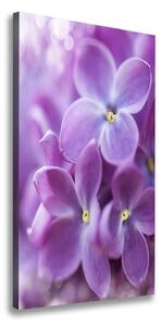 Tablou canvas flori de liliac