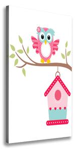 Tablou pe pânză Owl pe o ramură
