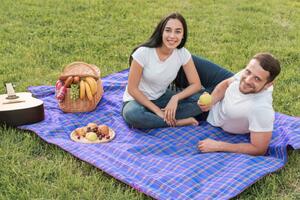 Pătură de picnic cu model în carouri 145 x 180 cm - albastru