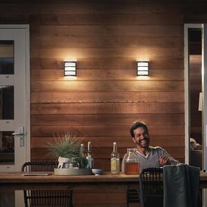 Philips LED pentru exterior Python UE, gri, Gri, Oțel inoxidabil, Modern