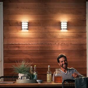 Philips LED pentru exterior Python UE, gri, senzor, Gri, Oțel inoxidabil, Modern
