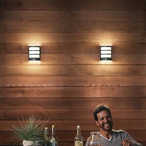 Philips LED pentru exterior Python UE, antracit, senzor, Negru, Oțel inoxidabil, Modern