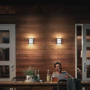 Philips LED pentru exterior Python UE, antracit, antracit, Negru, Oțel inoxidabil, Modern