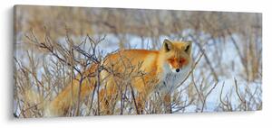 Tablou - Vulpe (120x50 cm)