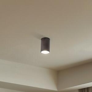 TK Lighting Downlight Top, flacără unică, maro, reglabil, Maro / Rugină, Camera de zi / sufragerie, Metal, Modern